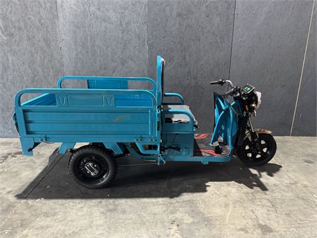 800 Watt Electric Cargo Tricycle with Dump Bed (ET13-Blue)