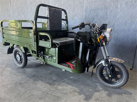 800 Watt Electric Cargo Tricycle with Dump Bed (ET13-Green)