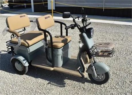 15.5 MPH Two Passenger Electric Mini Golf Cart (MGC40-Green)