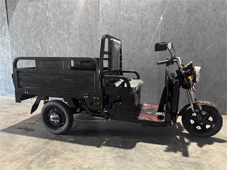 800 Watt Electric Cargo Tricycle with Dump Bed (ET13-Black)
