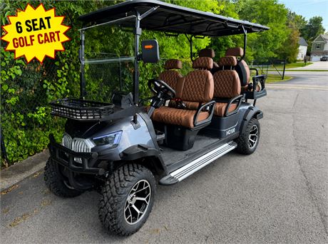 6 Passenger Electric Golf Cart (HQ100-GREY)
